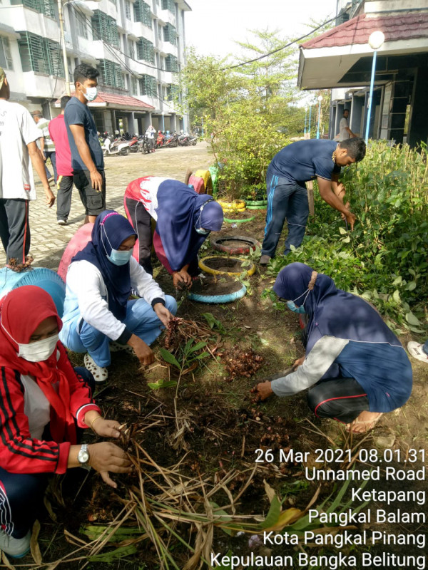 KEGIATAN GOTONG ROYONG KAMPUNG KB MENTARI KELURAHAN KETAPANG