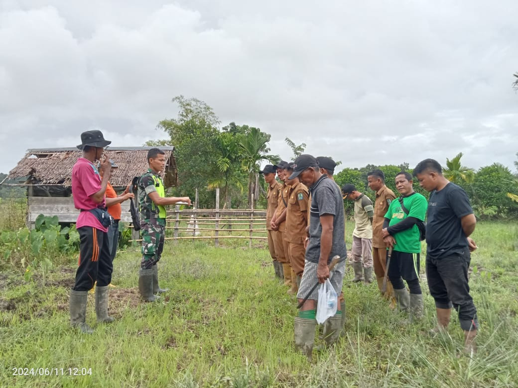 MONITORING/PENGECEKAN PAGAR PETANI DI BLANG PERSAWAHAN DESA LAFAKHA