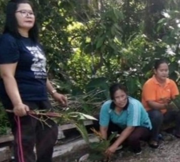 Gerakan penanaman tanaman halaman di desa huhopa nauli