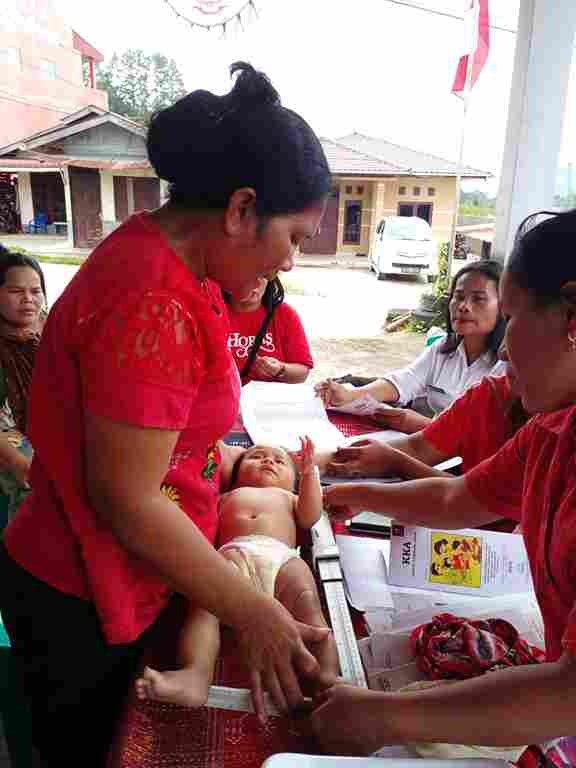 Pemantauan Pertumbuhan Anak yang dilaksanakan Kader Posyandu dan KPM Desa Simorangkir Julu