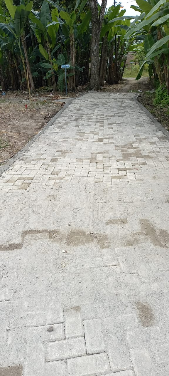 Pemasangan Paving Blok Gang Pantai Dusun IV (60x3m) Desa Tanjung Selamat