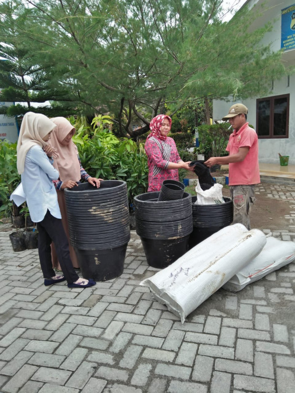 bantuan pohon mangga,jambu dan Pot