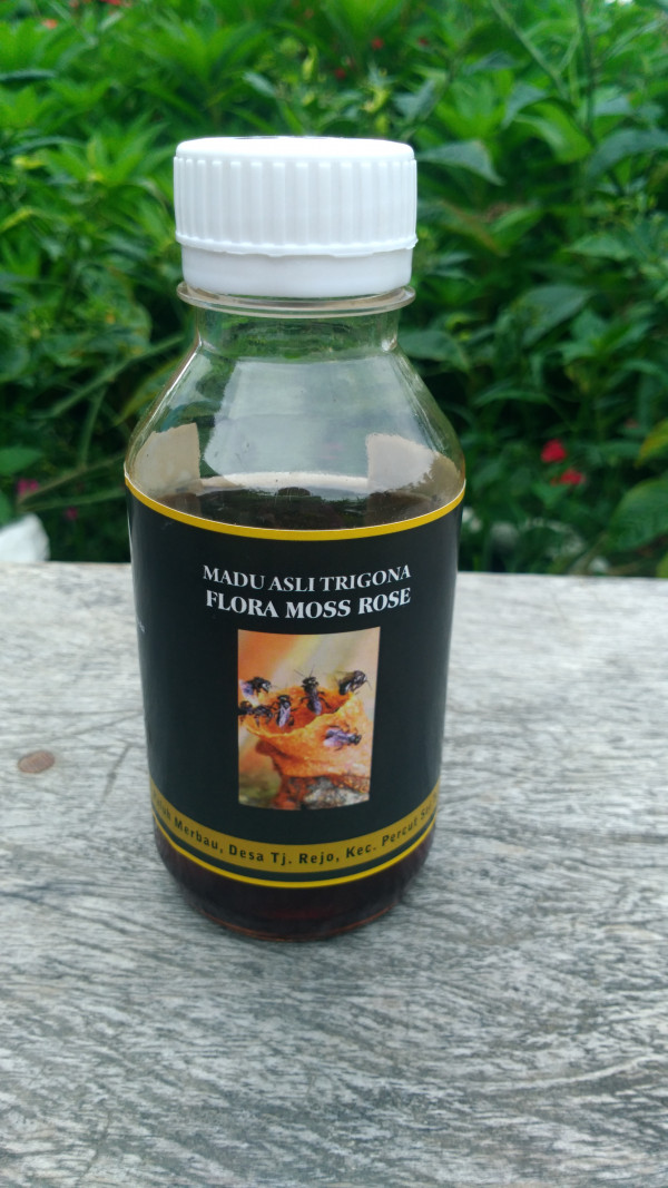 Kelompok Flora Moss Rose