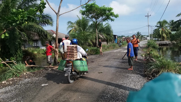 Gotong Royong Pamangkasan Pohon