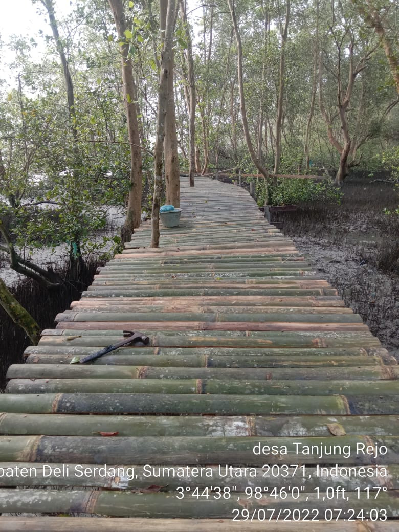 Loaksi Wisata Mangrove