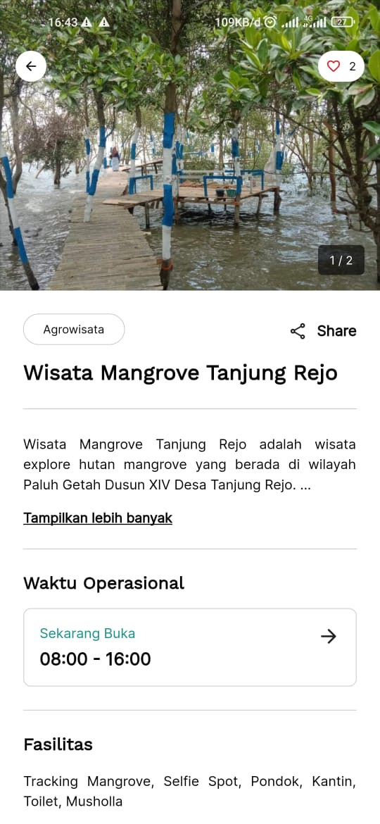 Wisata Mangrove Tanjung Rejo