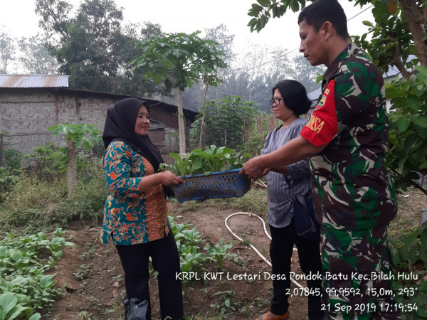 Pemberian tanaman kepada PPKBD Pondok Batu