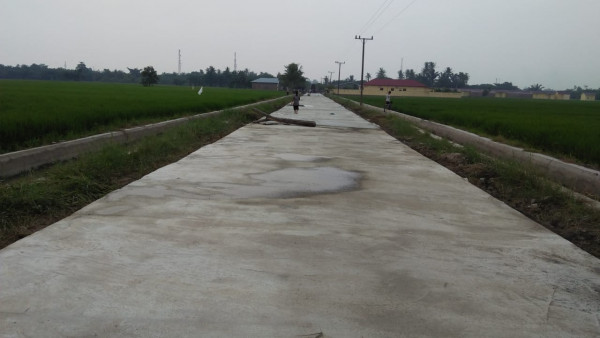 Pembangunan rabat beton jalan dusun V Desa Pematang Ganjang denga panjang 246 × 5 meter