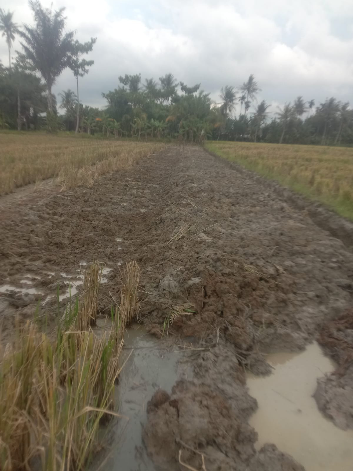 Pembuatan jalan baru pemotongan dr dusun VI menuju dusun VII,,  lebar 2 meter x Panjang 300 meter