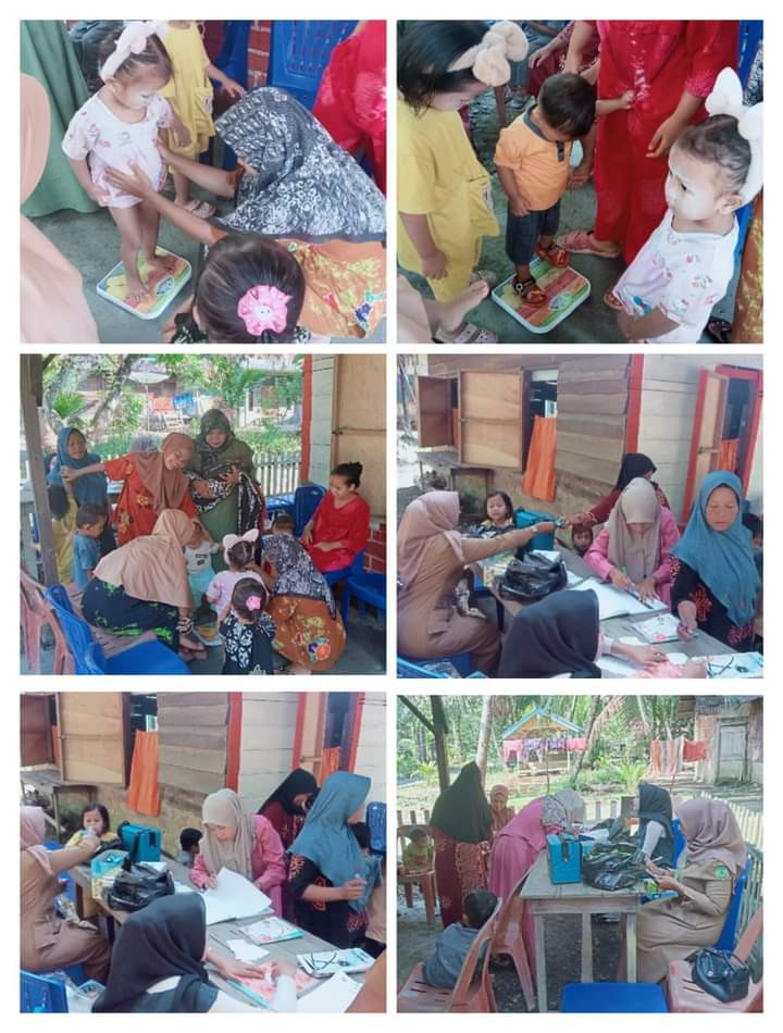 Imunisasi dan penyuluhan kb di desa handis julu