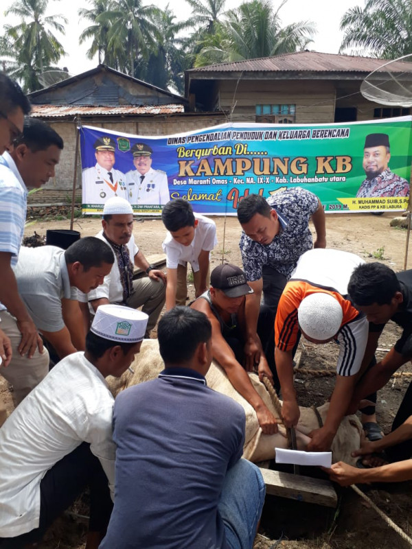 DINAS PPKB BERKURBAN DI KAMPUNG KB