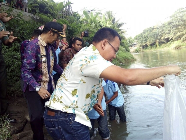 Penaburan bibit ikan oleh walikota Binjai di Sungai Bingai Kampung KB