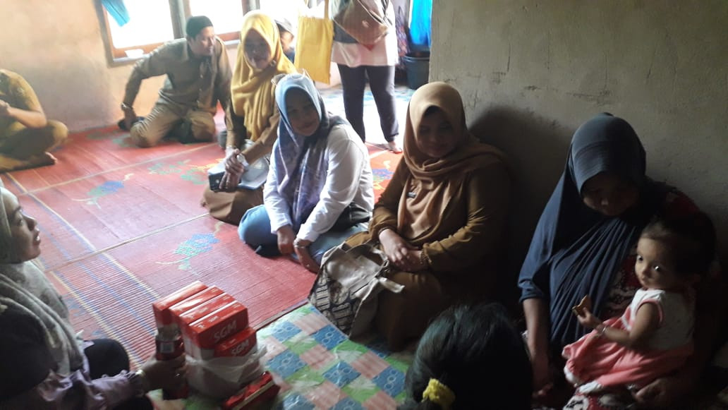 ibuk wakil percepatan penurunan stunting menyerahkan bantuan