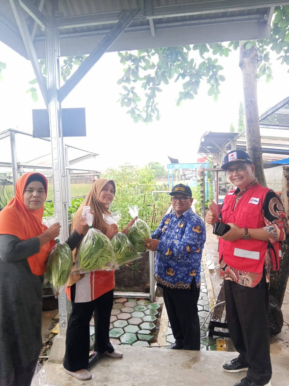 panen sayuran hidroponik bersama bapak camat nanggalo
