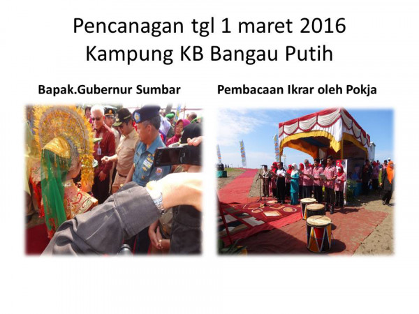 peresmian kampung KB oleh Bpk.Gubernur Sumatera Barat 