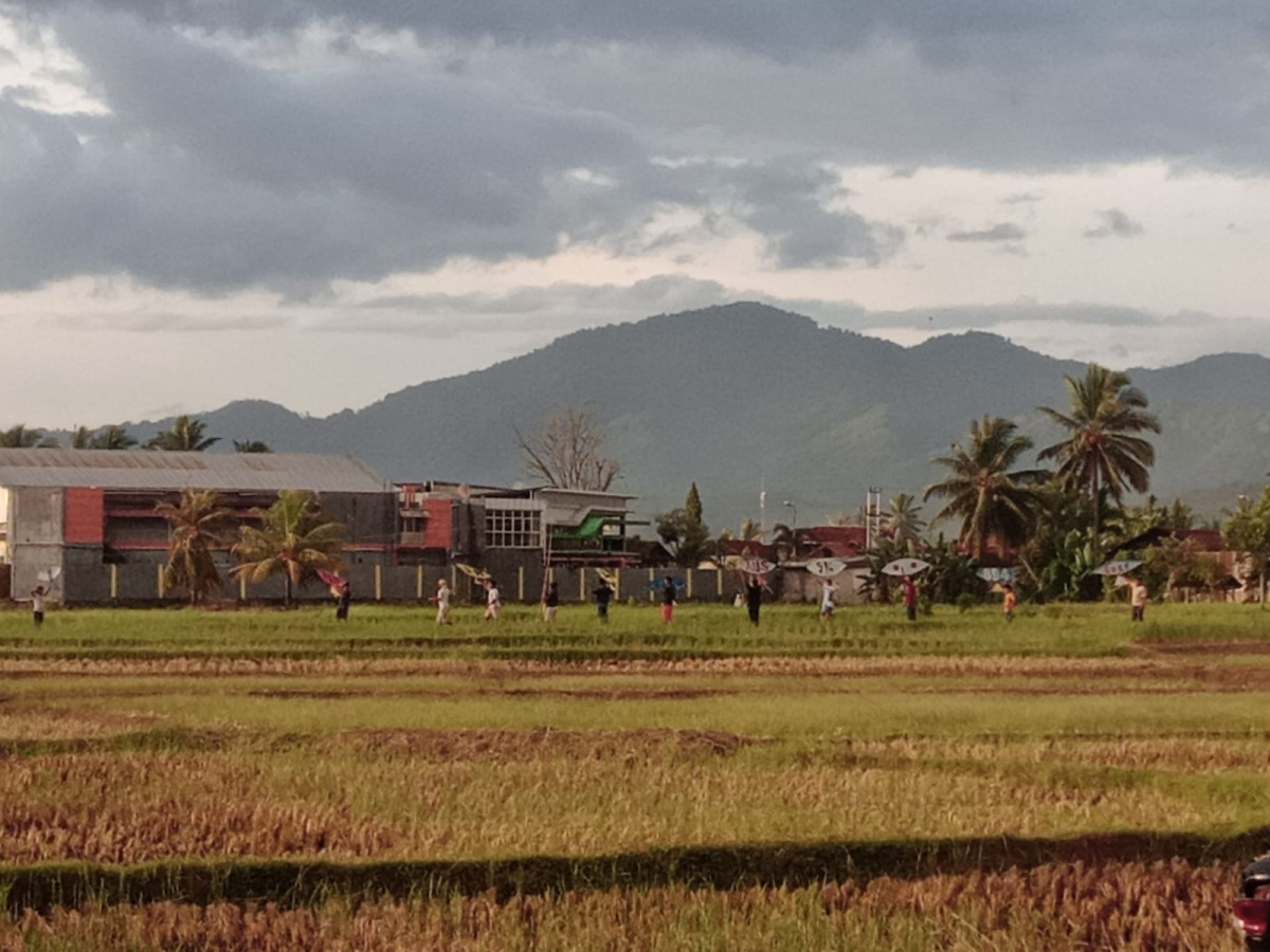 Perlombaan Landik Layangan