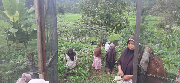 Goro Kelompok Tani sarang Alang