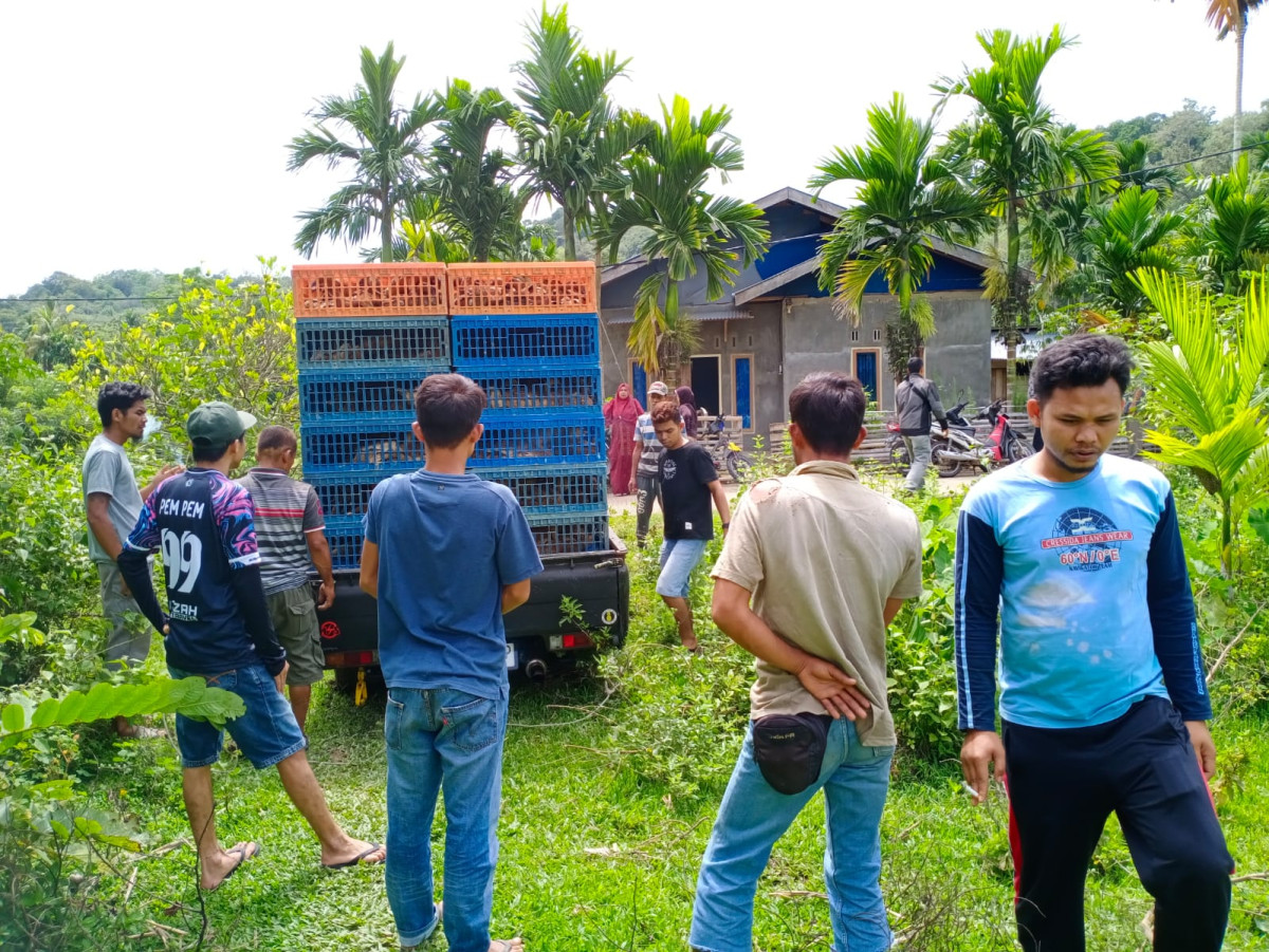 Pemberian bibit itk pada masyarakat di Kampung Keluarga Berkualitas Desa Kolok Nan Tuo