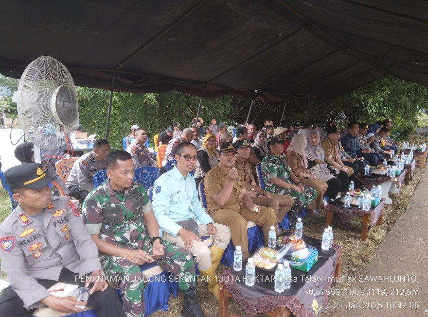 Penanaman Jagung Serentak 1 Juta Hektar