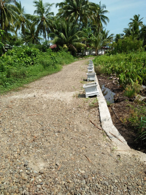 Pembukaan Jalan Baru Dusun bagi Masyarakat Dusun Timur