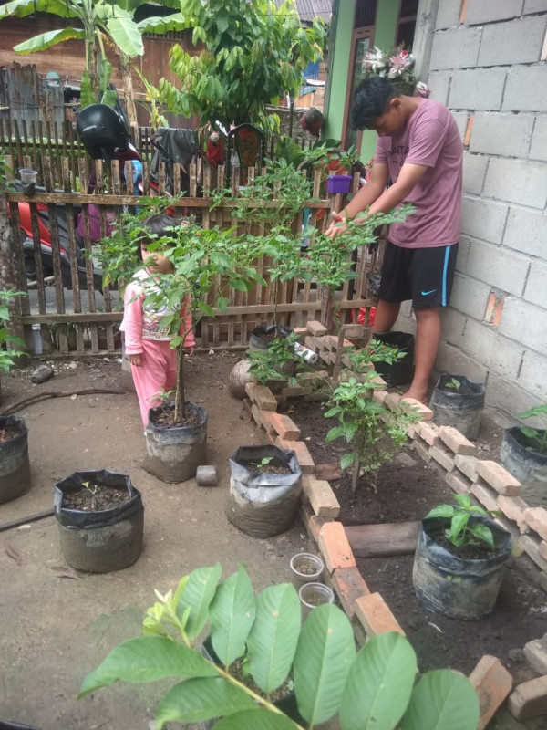 menfaatkan lahan pekarangan rumah