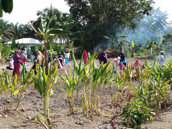 gotong royong membuat apotek hidup