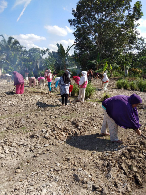 walau panas dan tanah gersang tetap semangat