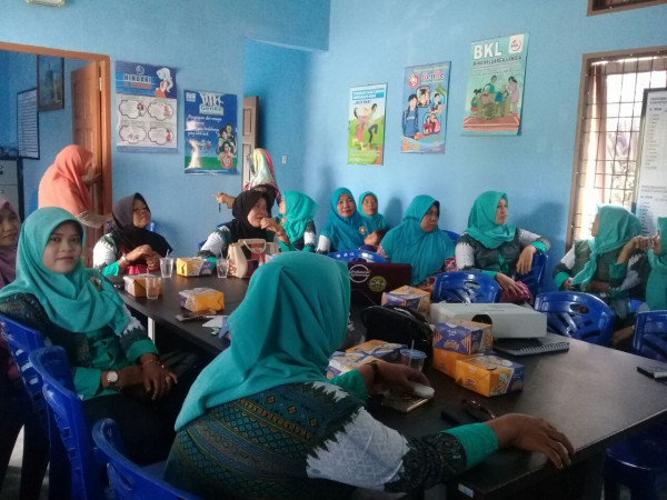 Pembinaan Kader IMP dari OPD KB Kabupaten Kampar