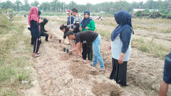 Gotong Royong Penanaman Semangka