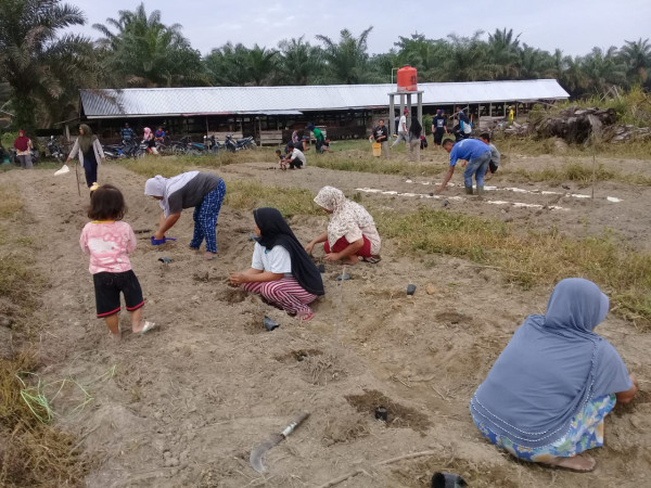 Gotong royong pemupukan tahap kedua