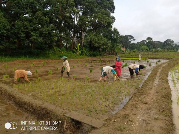 Petani Kampung KB jernih