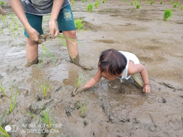 Anak Sedang Bertani