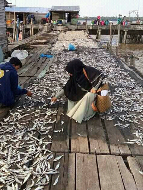 Proses pembuatan ikan asin