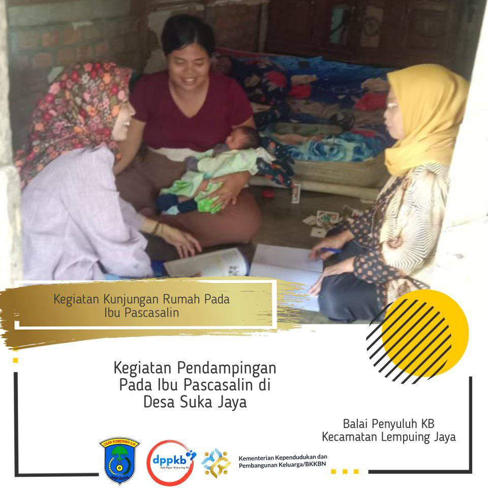 Kunjungan Ibu Pascasalin