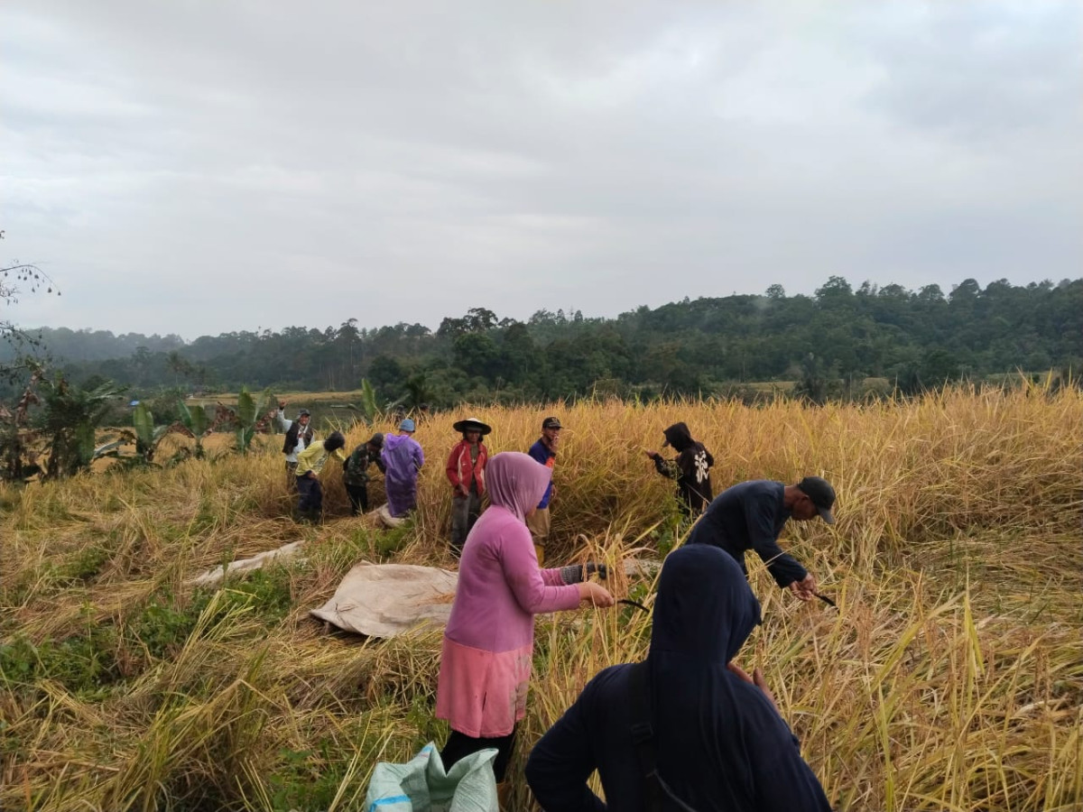 Bebie atau gotong royong