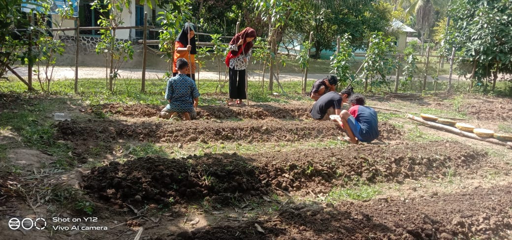 Penanaman ulang bibit kangkung di kebun kampung KB Talang santan