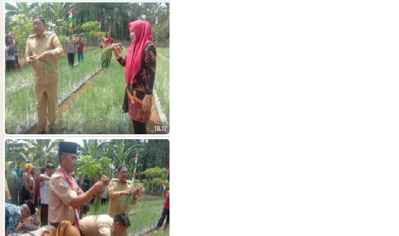 Penanaman Bibit Bawang bersama Bupati Bengkulu Utara di Kampung KB Arga Mulya
