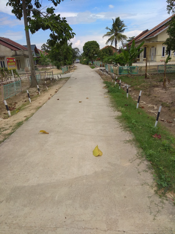 Pembangunan Jalan Rijk Beton sekaligus pembuatan Berem jalan di dusun 2