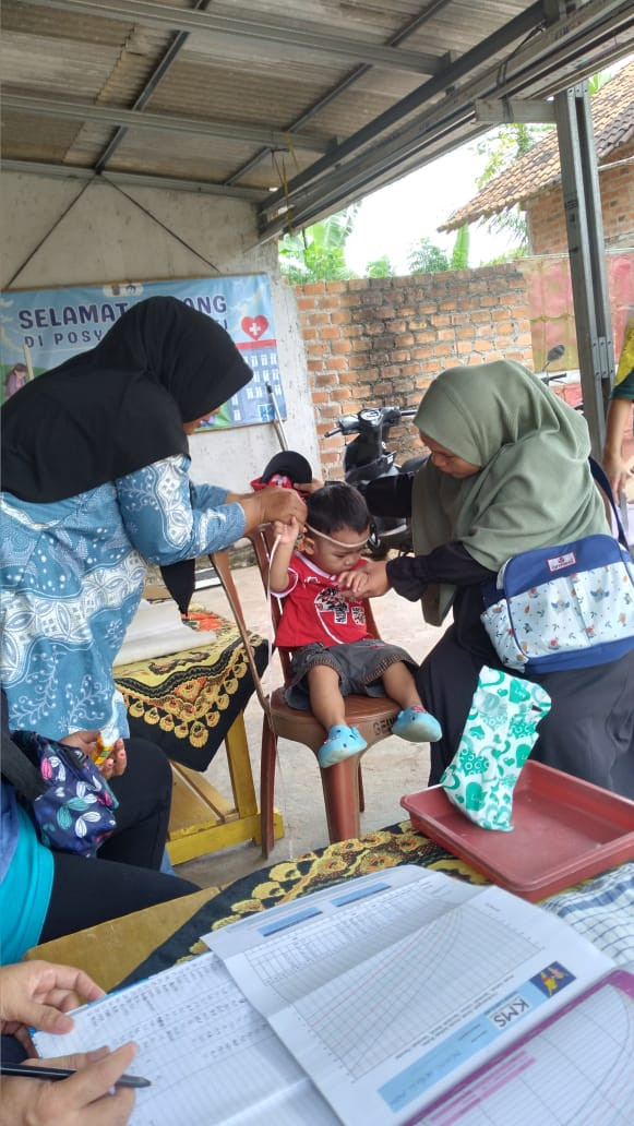 Kegiatan posyandu