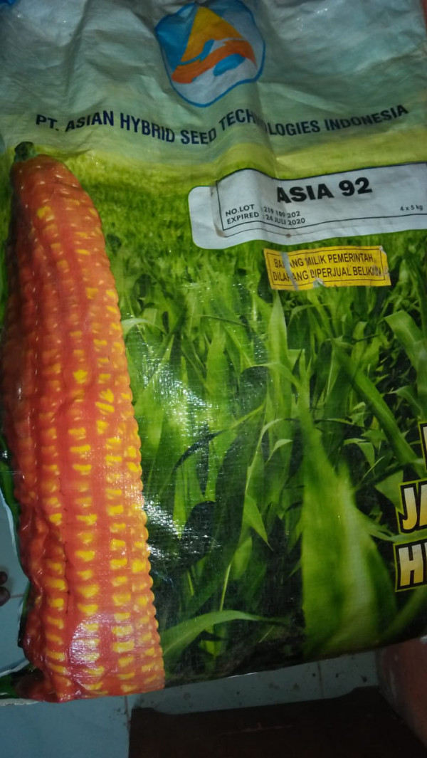 Bantuan benih jagung hibrida Asia 92 karung
