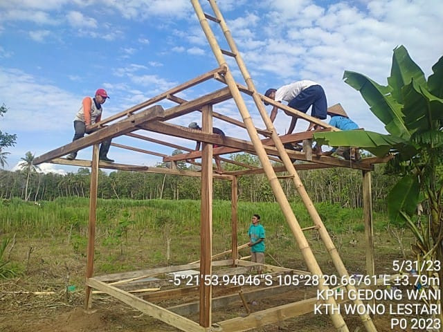 pembuatan gubuk di kebun