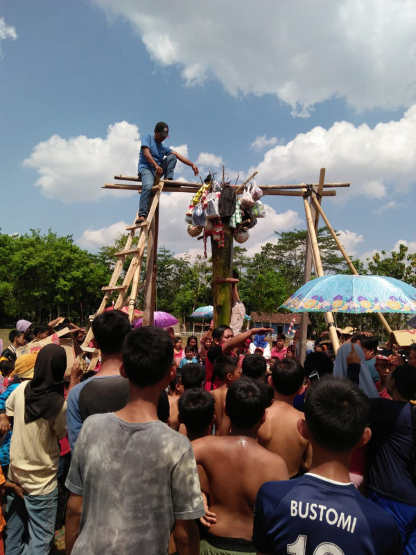 acara panjat batang pisang di desa buring kencana