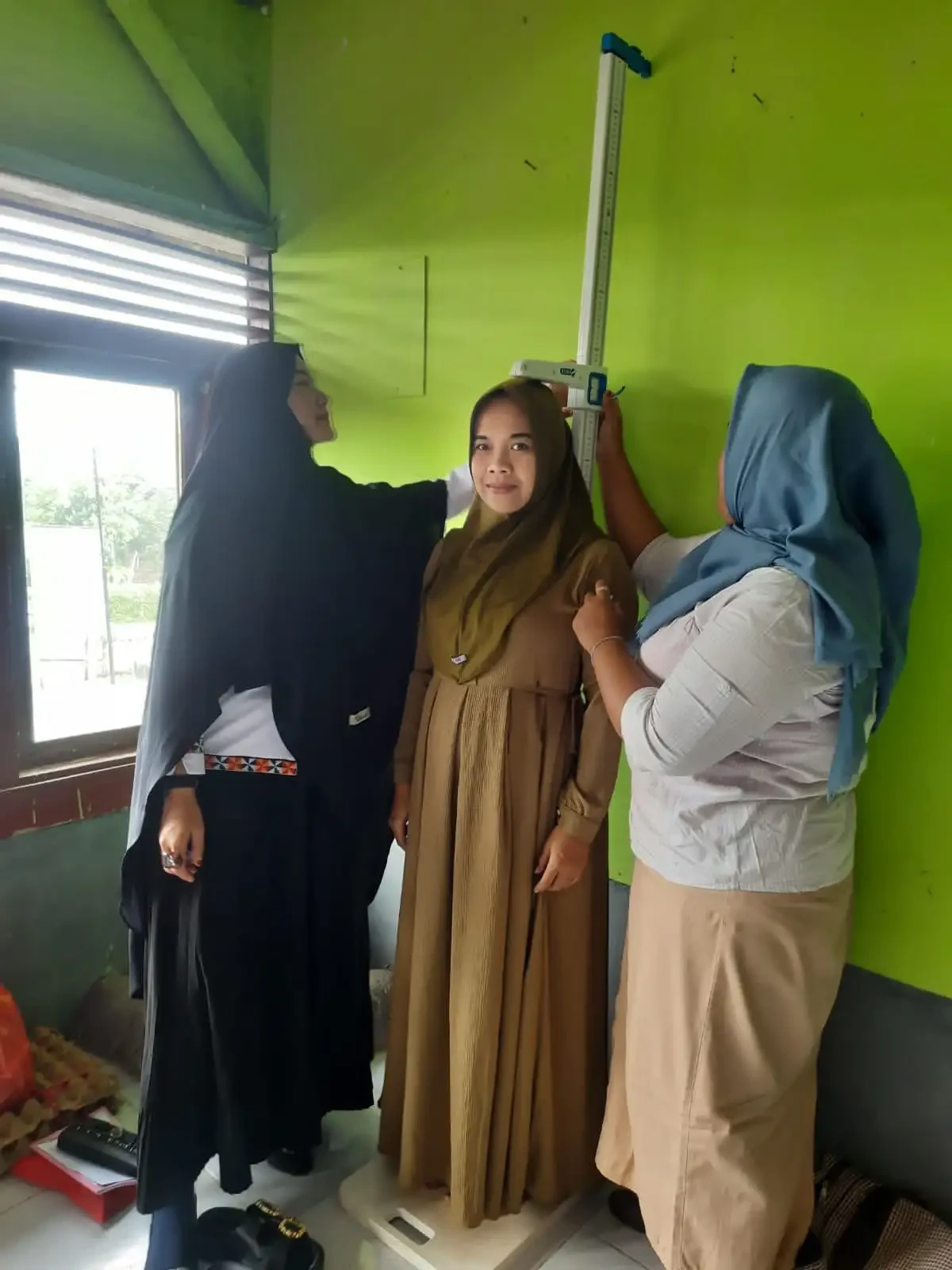 Pendataan dan Pendampingan Keluarga oleh PPKBD Pekon Sindang Pagar