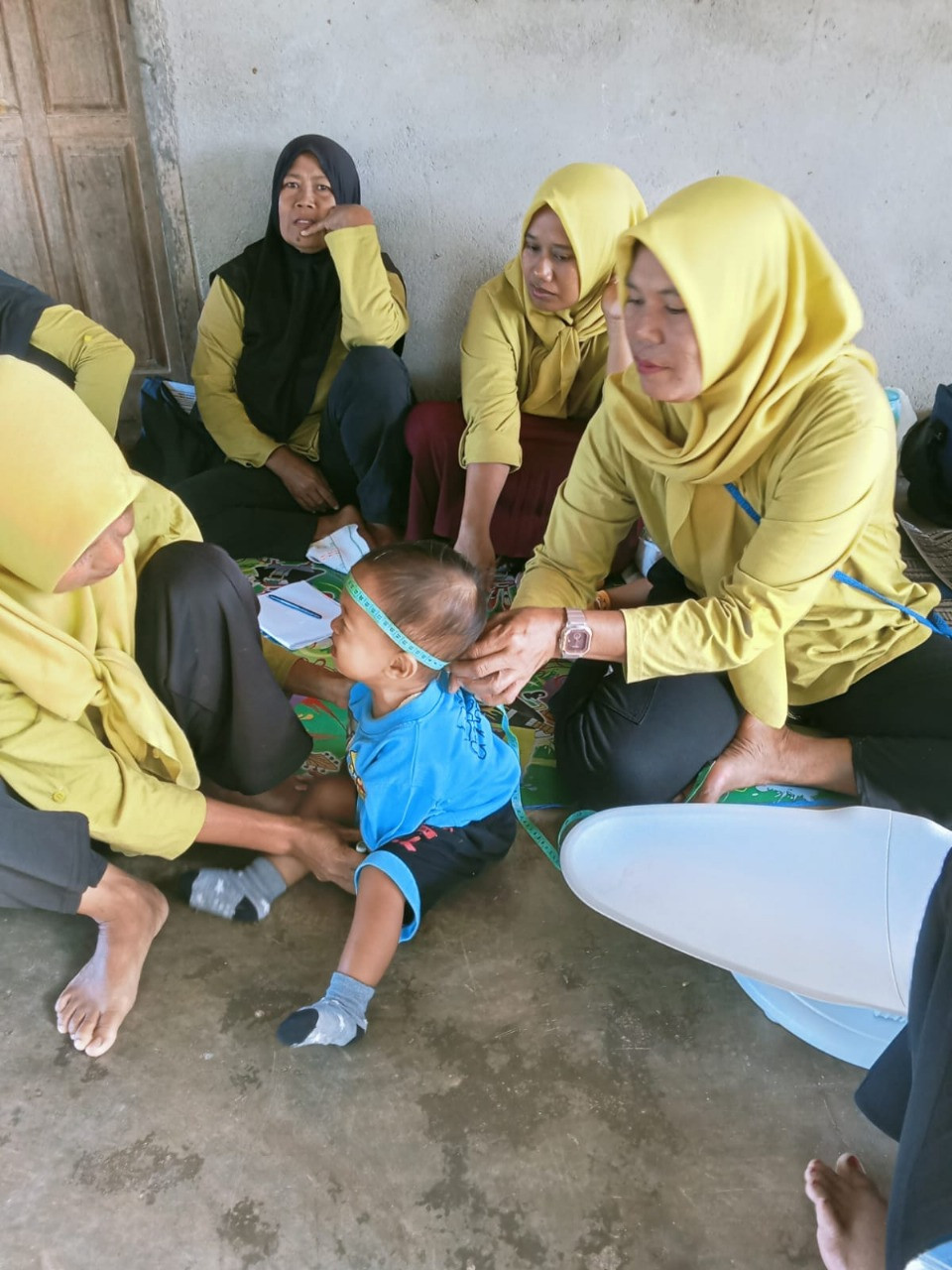 Posyandu Bumil, Balita, dan Lansia