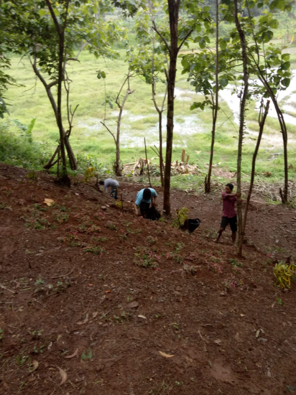 Pembersihan lahan oleh anggota Karang Taruna