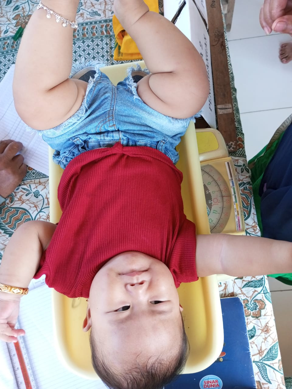 kegiatan penimbangan bayi dan balita