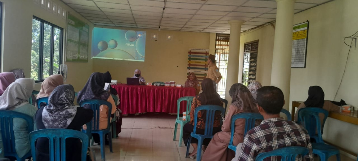 Pelaksanaan dan Pengelolaan Program Bangga Kencana Di Kampung KB