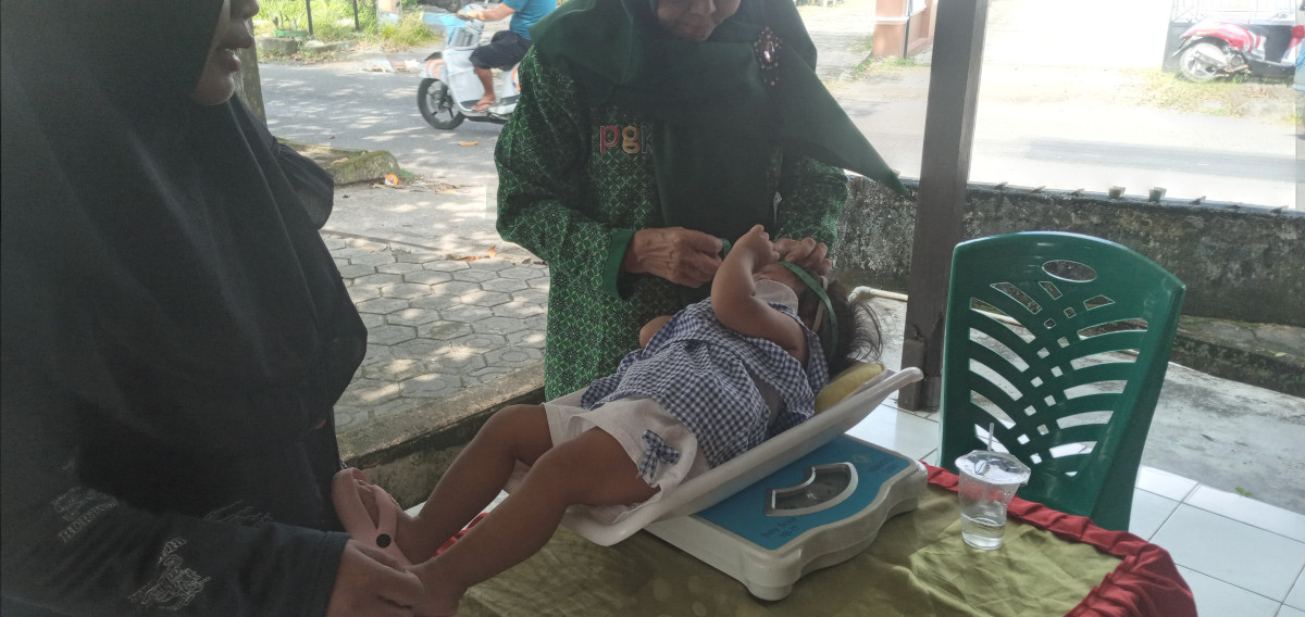 Posyandu balita dan bkb anggrek biru 2