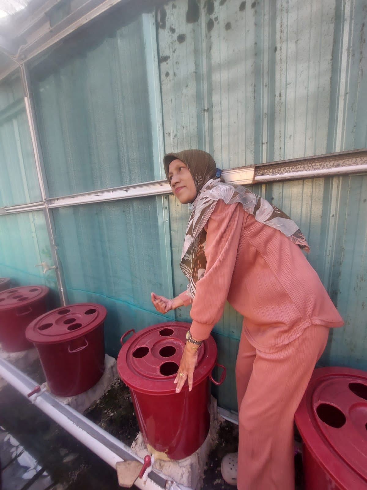 panen lele dikebun hidroponik kampung kb kelurahan lontong pancur