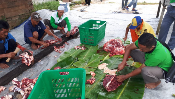 gotong royong pemotongan sapi dalam rangka peresmian masjid baitili muslimin kelurahan ketapang
